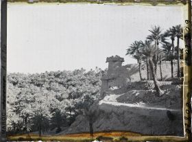 Image représentant Palmeraie et tour de garde