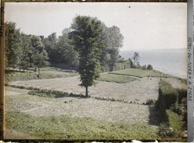 Image représentant Champ de pommes de terre au bord de la mer