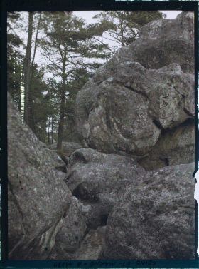 Image représentant France, Fontainebleau, Forêt de Fontainebleau