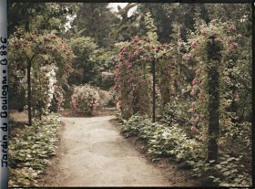 Image représentant Plantes potagères au bord d'une allée menant au jardin japonais, à l'est du verger-roseraie