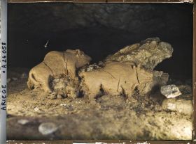 Image représentant Les bisons d'argile