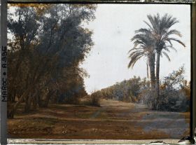 Image représentant Les jardins du Dar el Maghzen