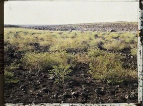 Image représentant Dans le Djebel Druze