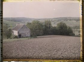 Image représentant Ile de France, Vetheuil, Champ ensemencé de betteraves