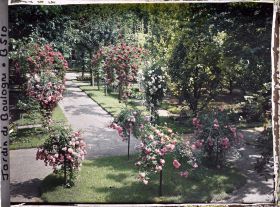 Image représentant Parterre de rosiers tiges et allée fleurie menant à la forêt bleue, à l'est du verger-roseraie