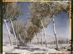 Image représentant Afghanistan, Kaboul, La route de Paghman Kaboul, autre aspect