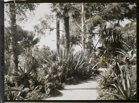 Image représentant le jardin