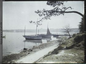 Image représentant Des bateaux amarrés et un pin parasol