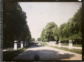 Image représentant L'allée des Orangers dans le petit parc