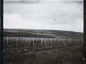 Image représentant France, Carency, Cimetière de Carency ; à l'horizon le bois de Carency