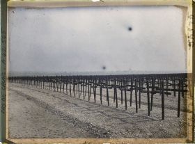 Image représentant France, La Targette, Cimetière Allemand de 30.000 Tombes