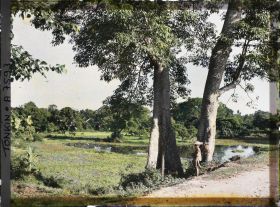 Image représentant Des rizières le long du chemin qui borde le Fleuve Rouge