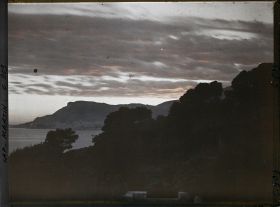 Image représentant Ligne arborée près de la villa Kahn, dite villa Zamir, se découpant à contre-jour vers Monaco