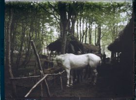 Image représentant Forêt de Compiègne [les écuries d'un camp militaire]