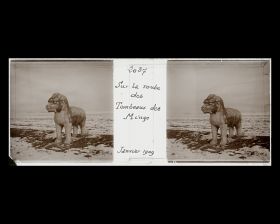 Image représentant Ming Shisanling ("Treize Tombeaux des Ming"). L'un des deux xiezhi (animal fabuleux) debout de l'allée des statues