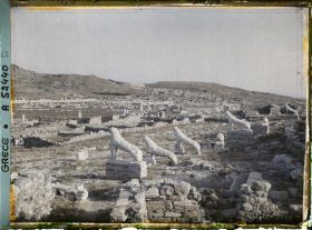 Image représentant La Terrasse des Lionnes
