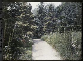 Image représentant La prairie, la forêt dorée et la forêt bleue