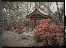 Image représentant Peut-être la fontaine du sanctuaire Tôshôgû à Ueno, azalées japonaises