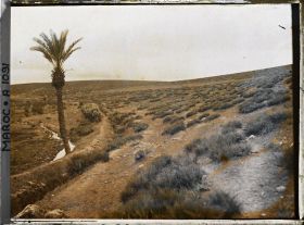 Image représentant Sur la route menant à Marrakech