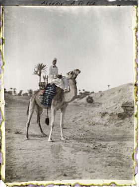 Image représentant Un officier méhariste sur sa monture