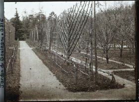 Image représentant Allée bordée de fruitiers palissés et coin du verger-roseraie, vus en direction de la forêt bleue