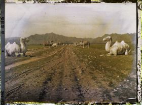 Image représentant Ming Shisanling (" Treize Tombeaux des Ming ")