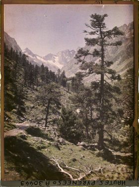 Image représentant France, Route du Lac de Gaube