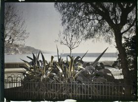 Image représentant Parterre d'agaves face au port de Menton