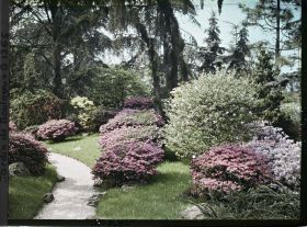 Image représentant Chemin du " sanctuaire japonais " bordé d'érables et d'azalées, à la sortie du " village japonais "