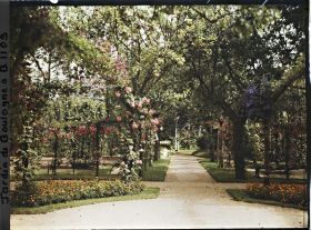Image représentant Allée du verger-roseraie située entre le rond-point proche du jardin français et la forêt bleue