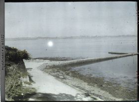 Image représentant Des varechs de part et d'autre de la jetée ; à gauche, des pieds d'ajoncs