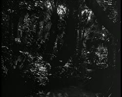 Image représentant Vues diverses