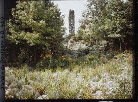Image représentant Espace pierreux, fleuri et bordé d'arbres, au pied d'un chemin escarpé du " jardin chinois "