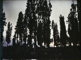 Image représentant Turquie, Constantinople, Soleil Couchant au Cimetière de Teckfour- Seraï