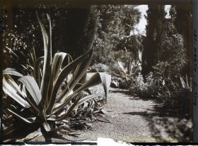 Image représentant le Jardin