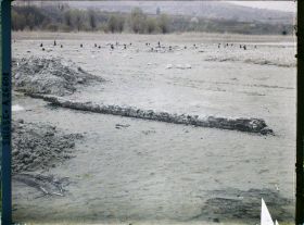 Image représentant Site palafittique préhistorique des Alpes, pieux en bois visibles lors de la baisse des eaux après la grande sécheresse de 1921 sur le lac de Neuchâtel