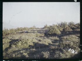 Image représentant France, Le Salève, Végétation s/ le Gd Salève (vue prise le soir)
