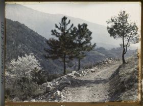 Image représentant Sur la route de Gorbio