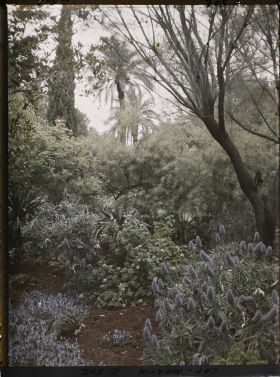 Image représentant Cap Martin Le Jardin