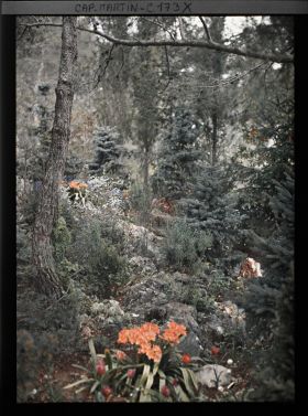 Image représentant Le jardin