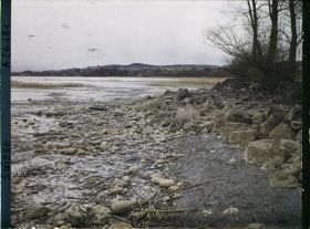 Image représentant Site palafittique préhistorique des Alpes, pieux en bois visibles lors de la baisse des eaux après la grande sécheresse de 1921
