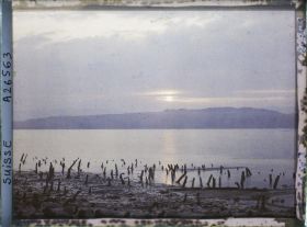 Image représentant Site palafittique préhistorique des Alpes, pieux en bois visibles lors de la baisse des eaux après la grande sécheresse de 1921. Coucher de soleil sur le lac de Morat