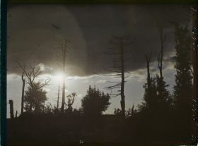 Image représentant France, Rollot, Arbres morts