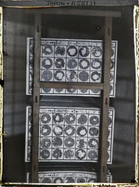 Image représentant Cartes d'œufs de papillons prêtes pour la vente