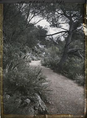 Image représentant le jardin