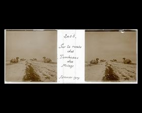 Image représentant Ming Shisanling ("Treize Tombeaux des Ming"). Les chameaux de l'allée des statues