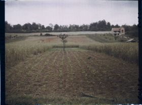 Image représentant Ile de France, Presles, Légumes et Céréales