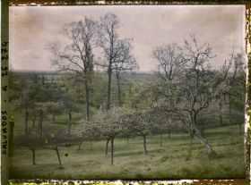 Image représentant Vue sur la vallée d'Auge
