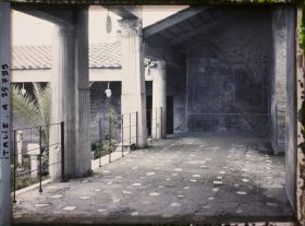 Image représentant Mosaïques du sol dans le péristyle de la maison des Amours dorés