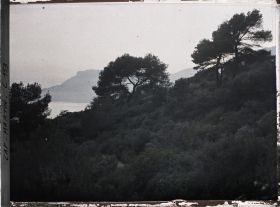 Image représentant Cap Martin - Le Jardin